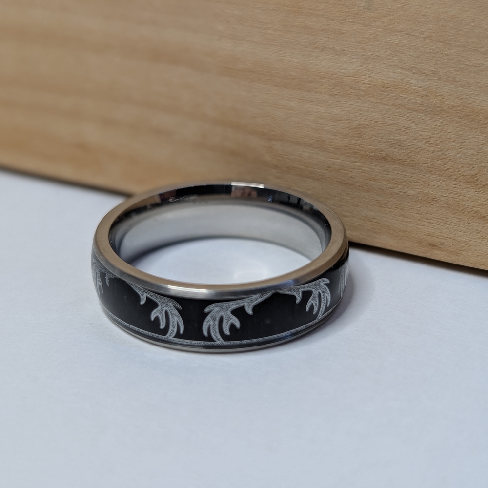 Black and Silver Men's Ring